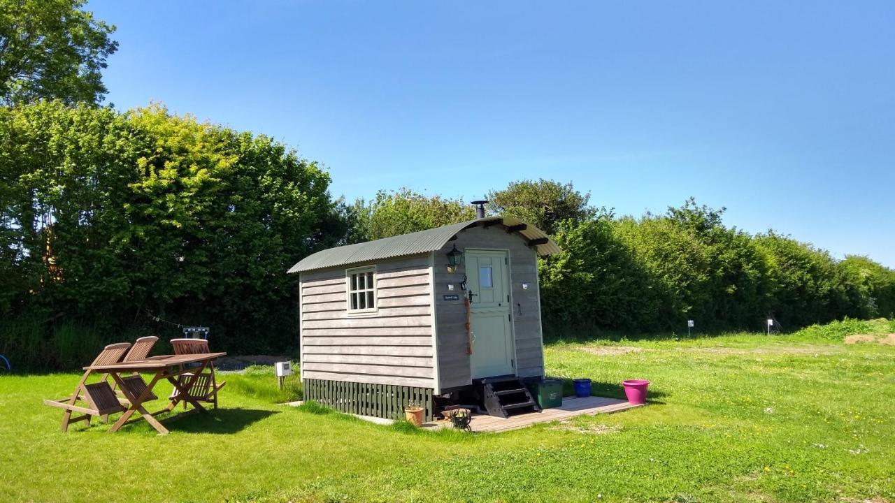 Apartment Shepherd's - Shepherd's Hut With Devon Views For Up To Two People And One Smaller Dog